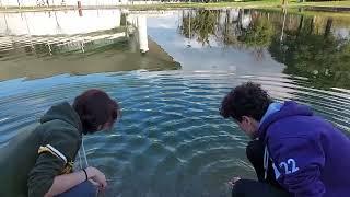 Water Waves - Interference Experiment