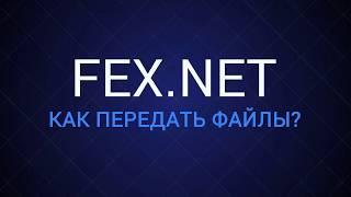 Как передать файлы? Fex.net файлообменник.