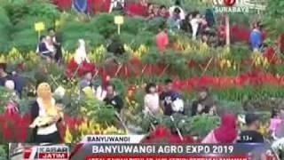 Agro expo. Komunitas bonsai kelapa banyuwangi