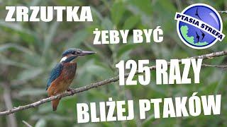 Zrzutka  żeby być 125x bliżej ptaków