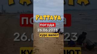 Ежедневные выпуски из Паттайи. Погода и курс валют. #экскурсиивпаттайе #паттайя #погодавпаттайе