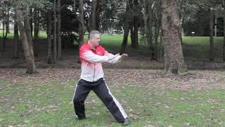 Yang Style Tai Chi featuring Yang Cheng Fu Images