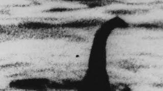 What's trending: Leave it all behind to hunt Nessie