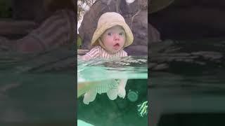 Baby's 1st Time Swimming in Pool  #shorts