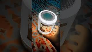 Amazon finds customized lamp speaker