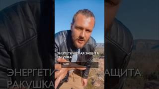 Энергетическая защита «Ракушка»