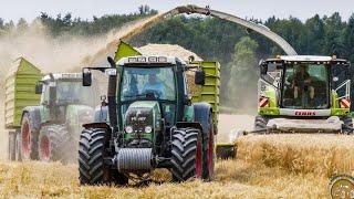 Ganzpflanzensilage - GPS Noternte wegen Futtermangel Claas Jaguar 950 Häckslerkette im Großeinsatz