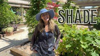 Fionuala's Favorite Shade Plants! Shade Options for Foundation, Understory & Groundcover Plants!