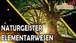 Der Sprecher - Naturgeister & Elementarwesen