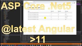 Solved: How to Create ‍️ASP Core .Net5 with  Angular 11 LATEST Version, Bootstrap and Material