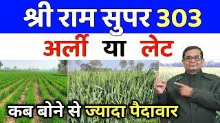 श्रीराम सुपर 303 अर्ली लगाए या लेट | ShriRam Super 303 Early Ya Late | Gehu ki kheti | Jagan Singh