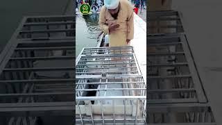 Delhi Jama Masjid ki Sabse Muqaddas jagah Hazrat Muhmmad ﷺ ne Jaha Wazu kiya by Rizwan attari(part3)