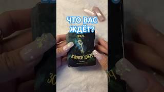  ЧТО ВАС ЖДЁТ Гадание на картах  #гадание #гаданиеонлайн #гаданиенабудущее