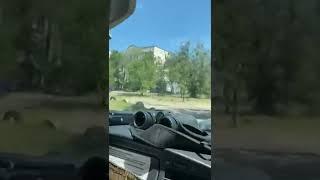 СОЗДАЙ СЕБЯ /create yourself