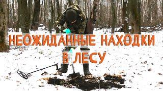 Поиск старинных монет в лесу