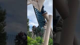 Furious Baco barrel roll #shorts #themepark #rollercoaster