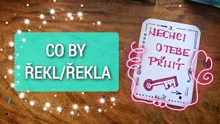 ‼️CO BY ŘEKL/ŘEKLA  + VZKAZY + 555 