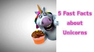 5 Fast Facts About Unicorns