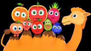 BIG Baby Sensory Collection !  Alice The Camel Kids Songs | Funky Fruits - Dance Party & Fun Video!