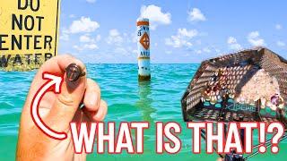 Gold, Platinum, and CREEPY Voodoo Jewelry! ~ Beach Metal Detecting