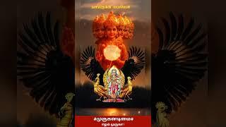 #trending#murugar#yugam#divinity#muruganadimai#