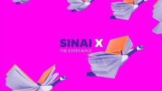 Sinai X: The Experience Explained