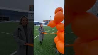 Съёмка собаки на миллион  #шары #balloon #шарыспб #идеядляподарка #аэродизайн #футбольноеполе