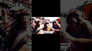 https://youtube.com/shorts/XK52y4xPKNw?si=H58PZ6jxoUVsVxmE #funny #comedy #shorts #ai #trending