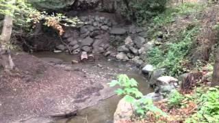 Placing tree rounds in the creek