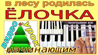 В лесу родилась Ёлочка~лучший УРОК для СИНТЕЗАТОРА  скачать стиль KORG в подарок  текст и аккорды