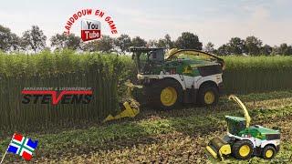 Vezelhennep maaien HempFlax en Loonbedrijf. Stevens Wildervank.  John Deere 9600i 4K oost Groningen