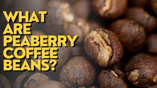 What Are Peaberry Coffee Beans?