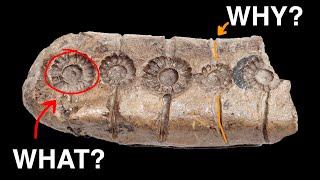 Europe's Undeciphered Prehistoric Tablets - Enigmatic Artefacts