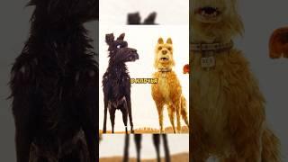 Когда уличные собаки делят еду  #фильм #сериал #моменты #shorts