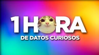 1 HORA de CURIOSIDADES FASCINANTES [Recopilación]