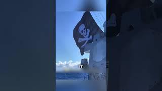 THE PIRATE FLAG THE NAVY APPROVED 