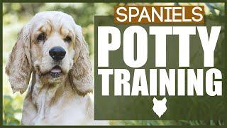 How To Potty Train Your SPANIEL