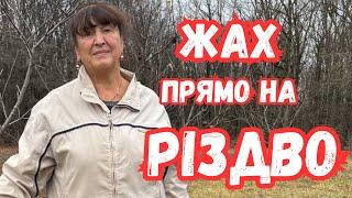 Наталя Фаліон - Жах прямо на Різдво