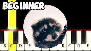 Pedro Pedro Pedro - Racoon Meme - Fast and Slow (Easy) Piano Tutorial - Beginner