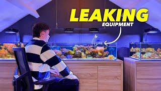 How I Maintain ALL my Reef Tanks: Aquarium Maintenance - Fish Room Update Ep. 2