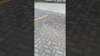 jalan jalan sore