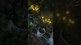 Solar Light Outdoor Swaying Firefly Garden lamp from Amazon #amazonunboxing #solarlight #shorts