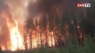 Власти заметили пожары в Сибири, а про Забайкалье - ни слова