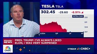 Tesla's stock is down on market belief that Trump won't play nice, says Wedbush's Dan Ives