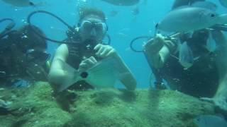 Kemer diving