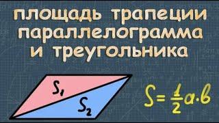 Площадь параллелограмма треугольника и трапеции