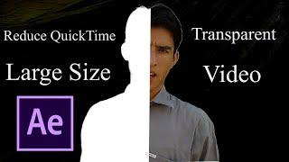 How To Reduce Large Size Quicktime Transparent Video (Alpha channel)