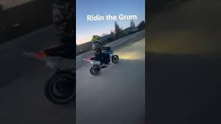 Riding the Grom