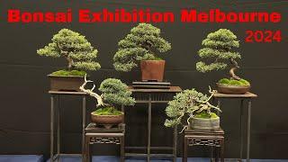 Bonsai Show Exhibition Melbourne April 2024 - one of the best Bonsai shows in Australia