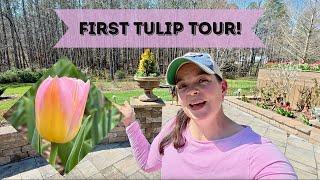 Tulip Tour & Planting First Annuals of the Season